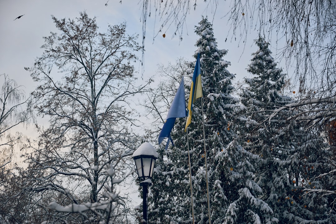 Лютневий календар 2026 року з позначеними святами та вихідними днями