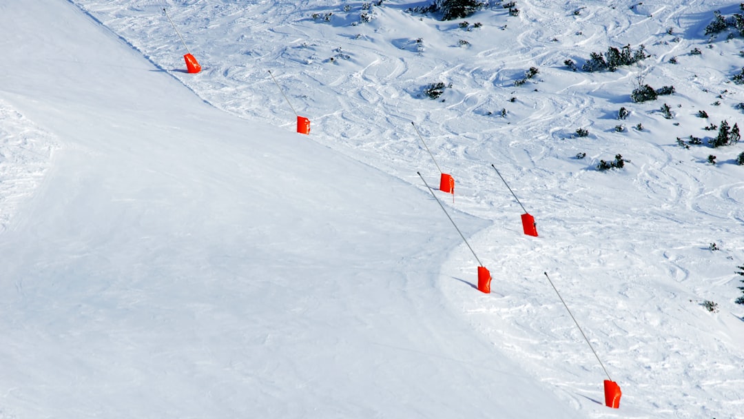 Orange markers line a groomed ski slope on a mountain.